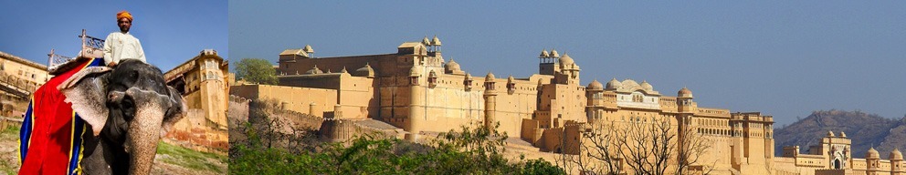 Amber Fort Palace Jaipur tour with Golden Triangle Group Tour India