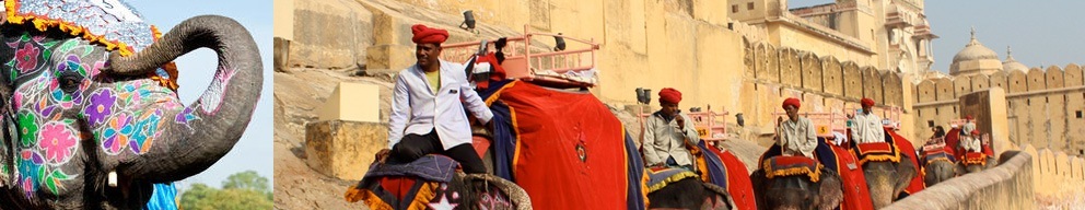 Elephant ride at Amber Fort Jaipur Tour with Golden Triangle Group Tour India