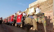 Elephant Safari at Amber Fort -  the royalty of Rajasthan.