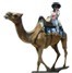 Golden Triangle Group Tour India Welcome Camel